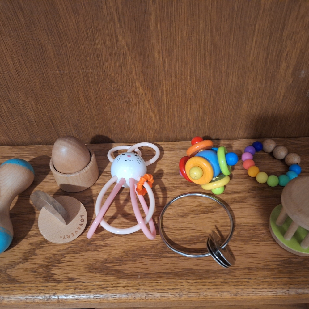 Lovevery Lot Bundle 0-12 Months